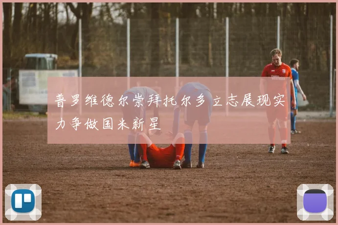 普罗维德尔崇拜托尔多立志展现实力争做国米新星