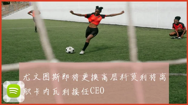 尤文图斯即将更换高层科莫利将离职卡内瓦利接任CEO